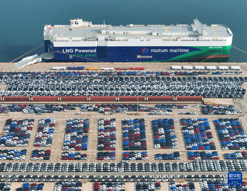 Shandong: porto de Yantai vê movimenta??o de veículos de exporta??o