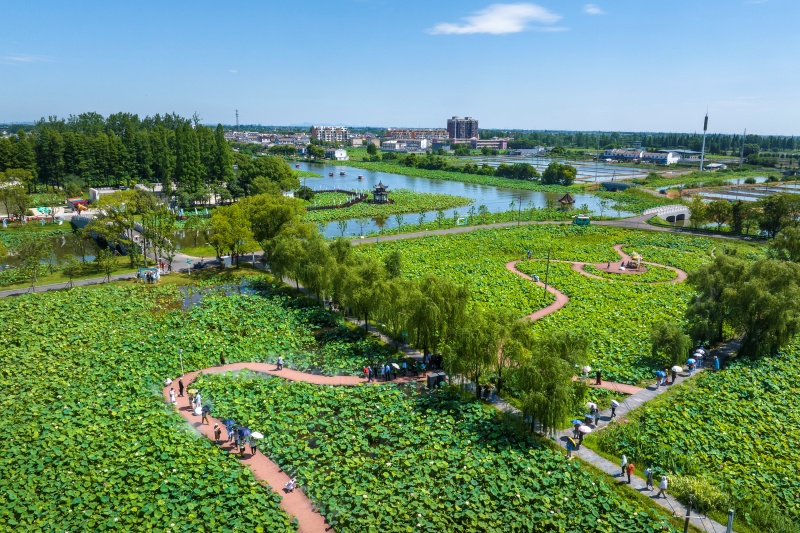 Anhui: Wuhu impulsiona revitaliza??o rural com integra??o agrícola e cultural