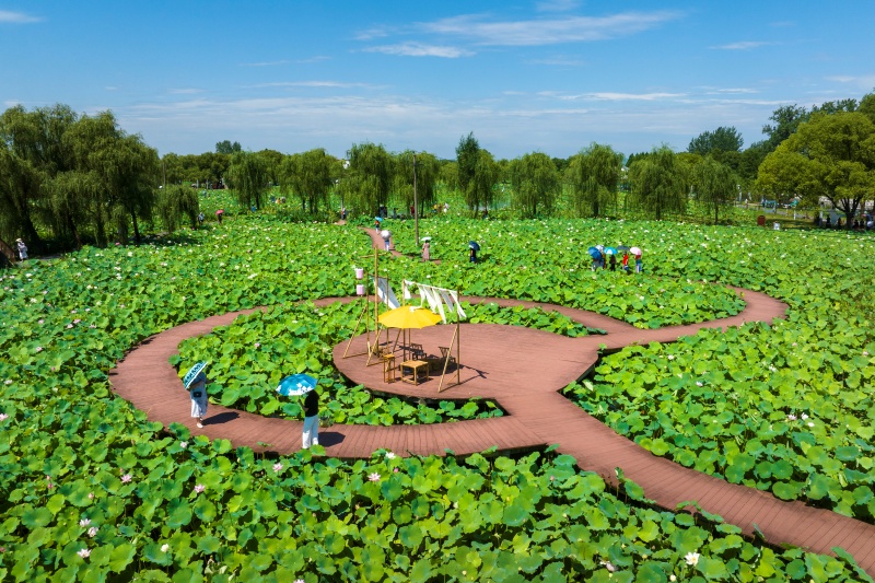 Anhui: Wuhu impulsiona revitaliza??o rural com integra??o agrícola e cultural