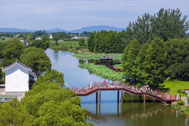 Anhui: Wuhu impulsiona revitaliza??o rural com integra??o agrícola e cultural