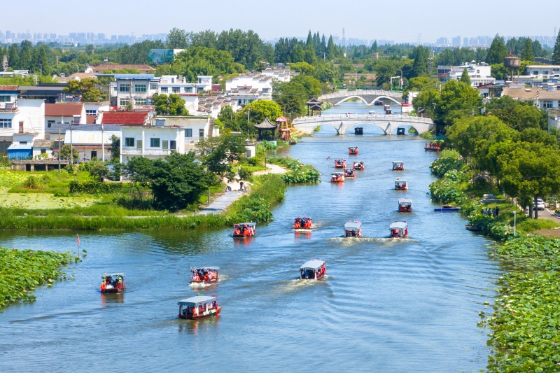 Anhui: Wuhu impulsiona revitaliza??o rural com integra??o agrícola e cultural