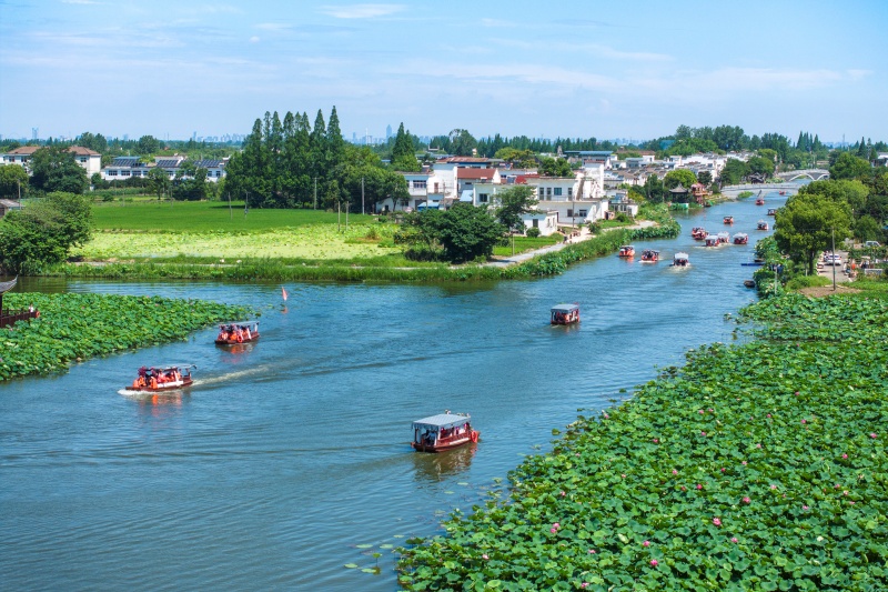 Anhui: Wuhu impulsiona revitaliza??o rural com integra??o agrícola e cultural