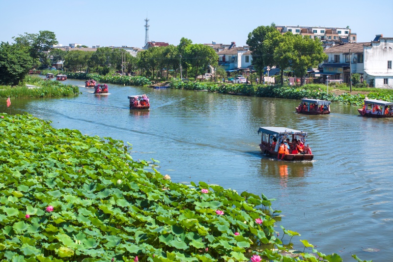 Anhui: Wuhu impulsiona revitaliza??o rural com integra??o agrícola e cultural