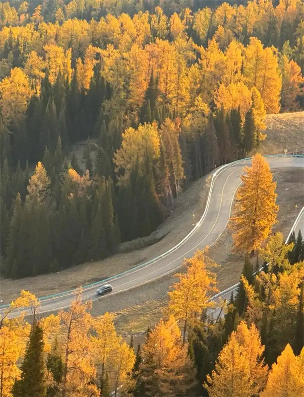 Seis novas estradas turísticas inauguradas em Xinjiang, noroeste da China