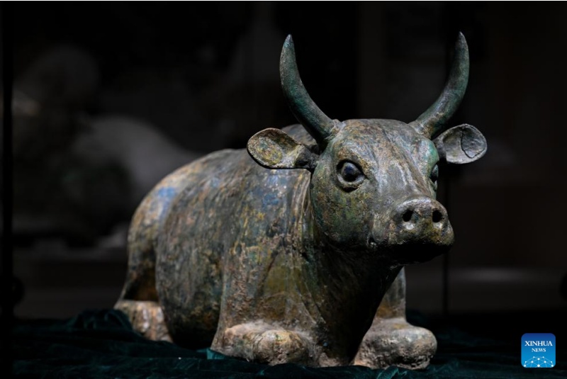 Inscri??o dos Túmulos Imperiais de Xixia como Patrim?nio Mundial impulsiona a Iniciativa de Civiliza??o Global, diz funcionário