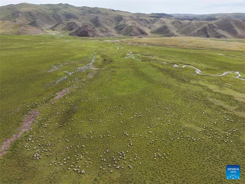 Rodovia Dushanzi-Kuqa de Xinjiang registra boom de turismo no ver?o