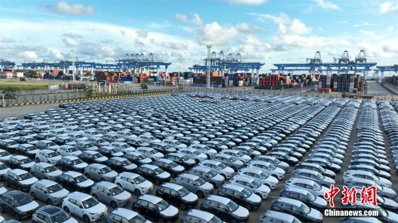 Mais de mil carros chineses “saem” de Guanxi para o Oriente Médio