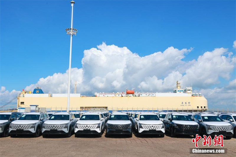 Mais de mil carros chineses “saem” de Guanxi para o Oriente Médio