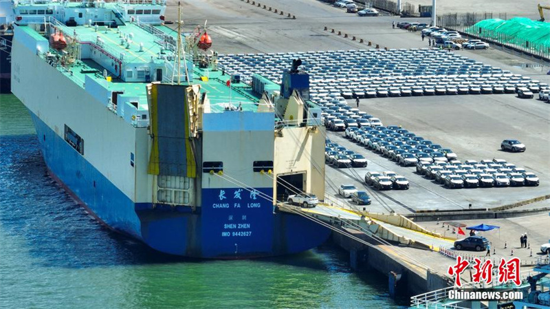 Mais de mil carros chineses “saem” de Guanxi para o Oriente Médio