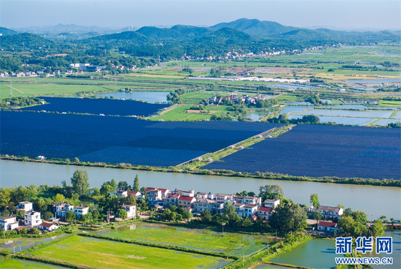 Galeria: energia solar e natureza convivem em harmonia em Wuhu
