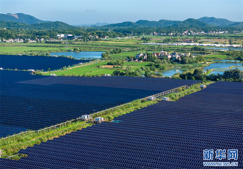 Galeria: energia solar e natureza convivem em harmonia em Wuhu