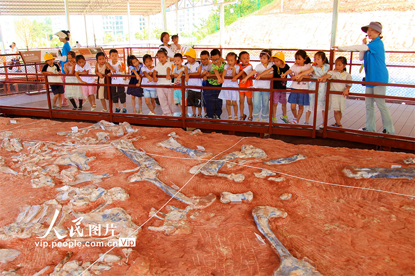 Chongqing: Parque do Sítio dos Dinossauros recebe uma onda de visitantes
