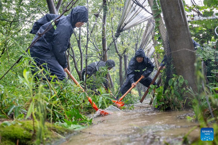 Províncias do leste da China intensificam preven??o de desastres para o tuf?o Co-May
