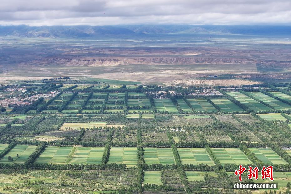 Shazhuyu: exemplo nacional na luta contra desertifica??o no noroeste da China
