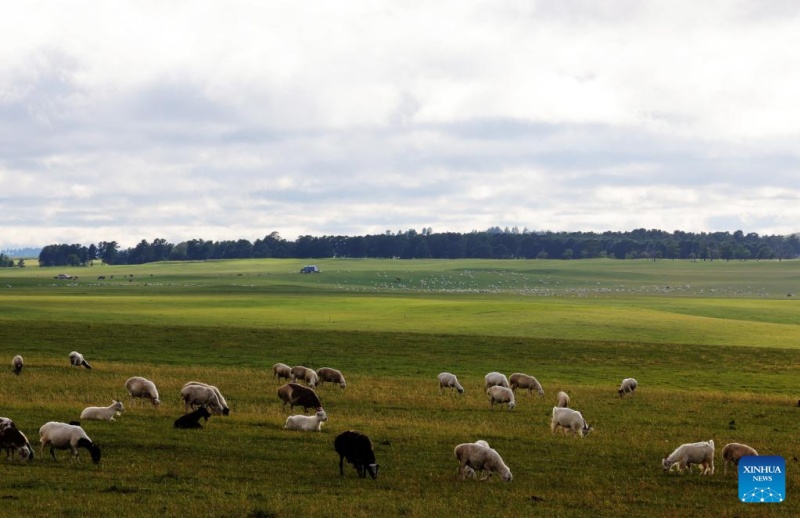 Galeria: paisagem dos Campos de Hulun Buir