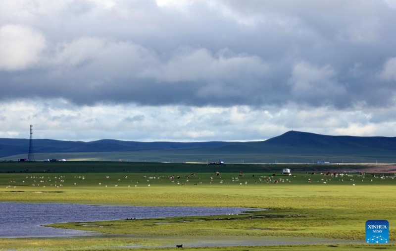 Galeria: paisagem dos Campos de Hulun Buir