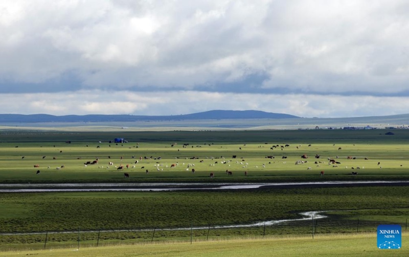 Galeria: paisagem dos Campos de Hulun Buir