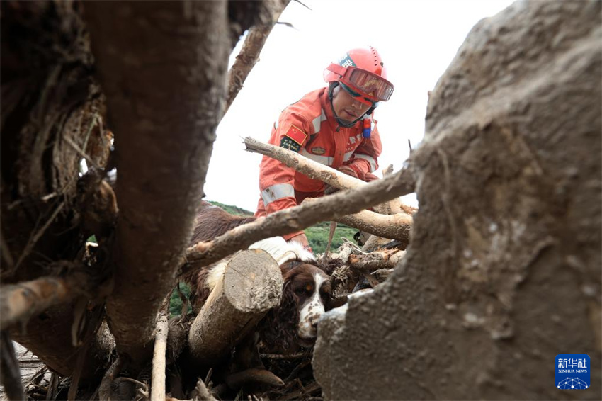 Polícia armada realiza resgate em Gansu