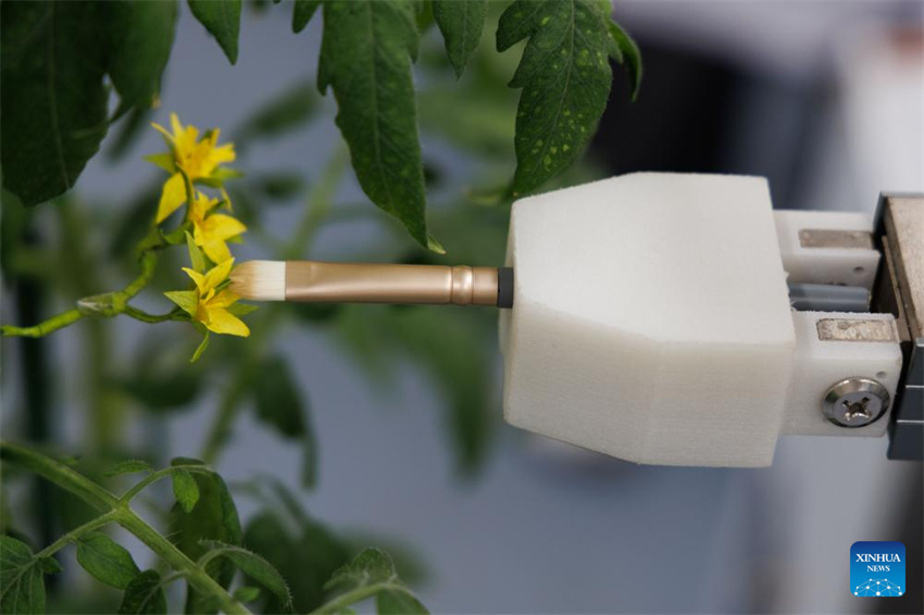 Cientistas chineses desenvolvem primeiro rob? de reprodu??o inteligente de processo completo do mundo