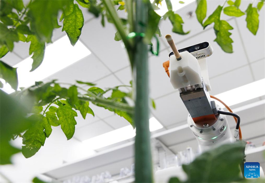 Cientistas chineses desenvolvem primeiro rob? de reprodu??o inteligente de processo completo do mundo