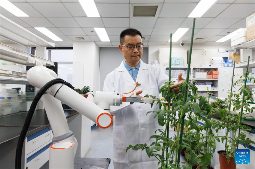 Cientistas chineses desenvolvem primeiro rob? de reprodu??o inteligente de processo completo do mundo