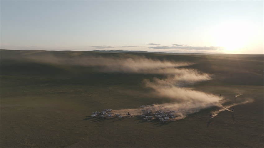 Galeria: “Estrada 99” através da estepe