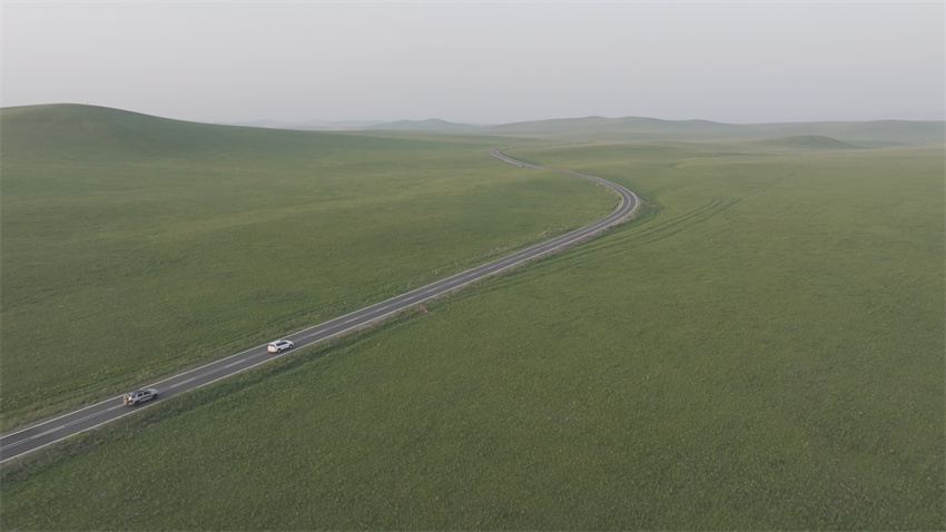 Galeria: “Estrada 99” através da estepe