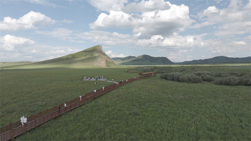 Galeria: “Estrada 99” através da estepe