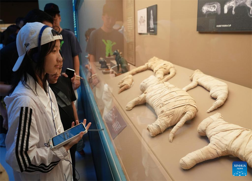 Exposi??o sobre a civiliza??o do Antigo Egito é inaugurada no Museu de Shanghai