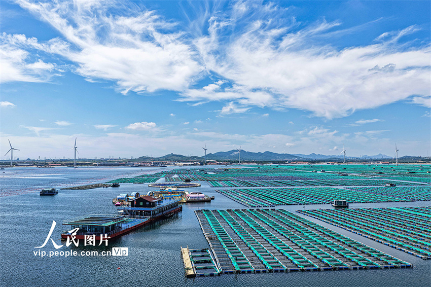 Ranchos marinhos oferecem divers?o em Shandong, leste da China