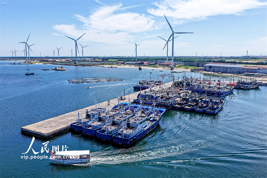 Ranchos marinhos oferecem divers?o em Shandong, leste da China