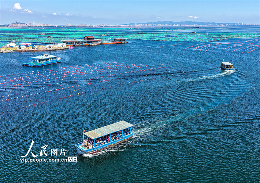 Ranchos marinhos oferecem divers?o em Shandong, leste da China