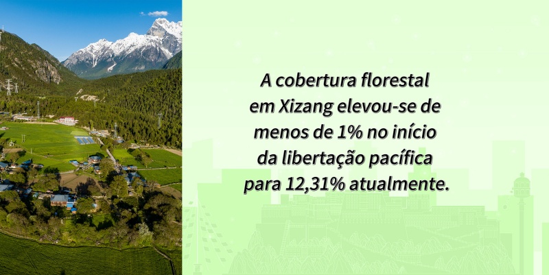 Números que testemunham as grandes mudan?as em Xizang nos últimos 60 anos