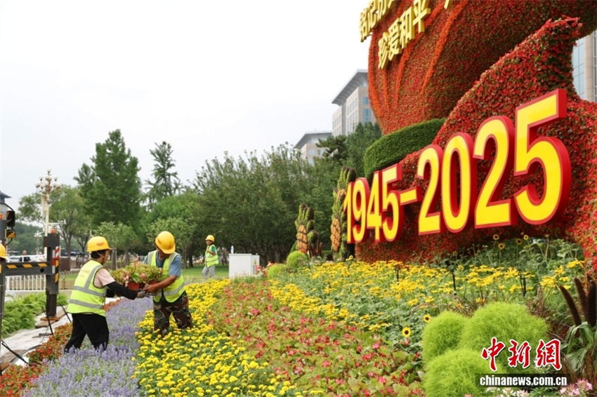 Beijing instala canteiro temático de flores para comemorar 80o aniversário da vitória na Guerra de Resistência do Povo Chinês contra a Agress?o Japonesa