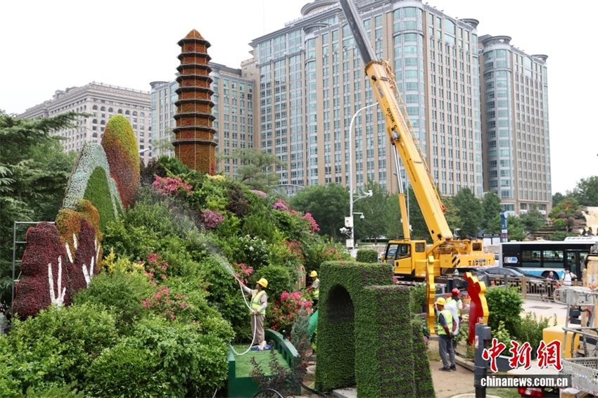Beijing instala canteiro temático de flores para comemorar 80o aniversário da vitória na Guerra de Resistência do Povo Chinês contra a Agress?o Japonesa