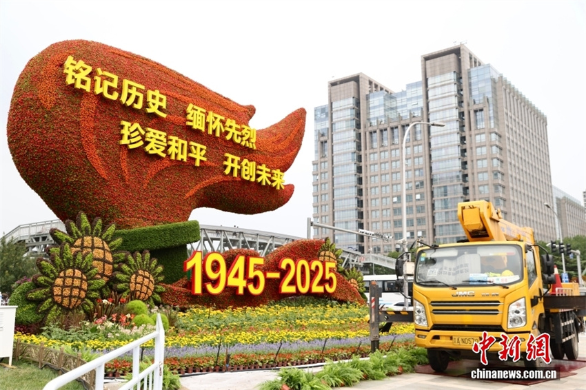 Beijing instala canteiro temático de flores para comemorar 80o aniversário da vitória na Guerra de Resistência do Povo Chinês contra a Agress?o Japonesa
