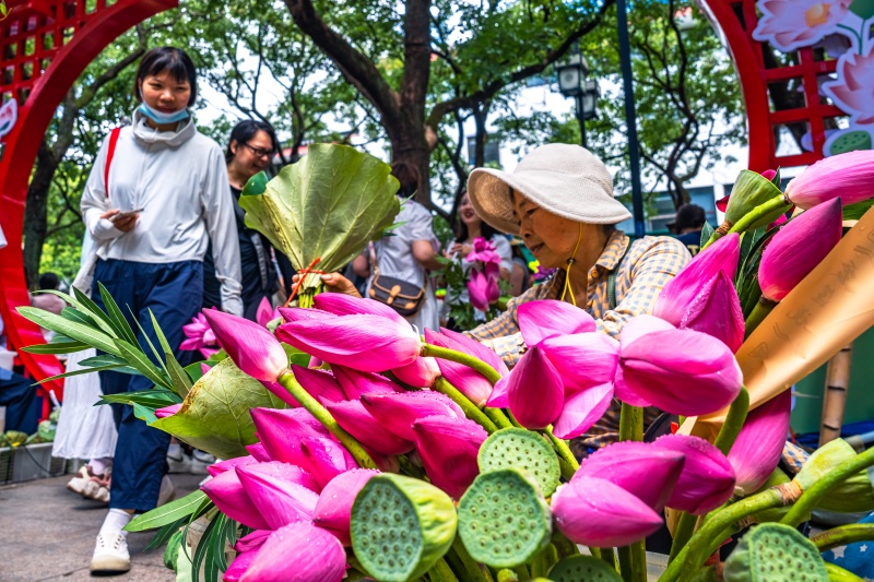 Suzhou celebra temporada de flora??o com mercado de lótus movimentado