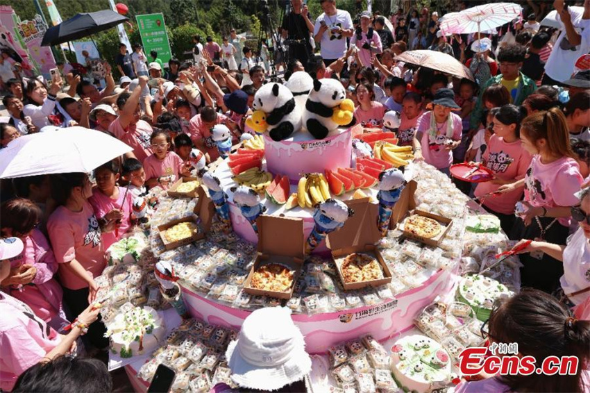 Panda gigante Ling Yan completa 8 anos na China