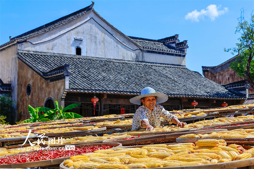 Secagem de gr?os atrai turistas para vila antiga de Anhui, leste da China