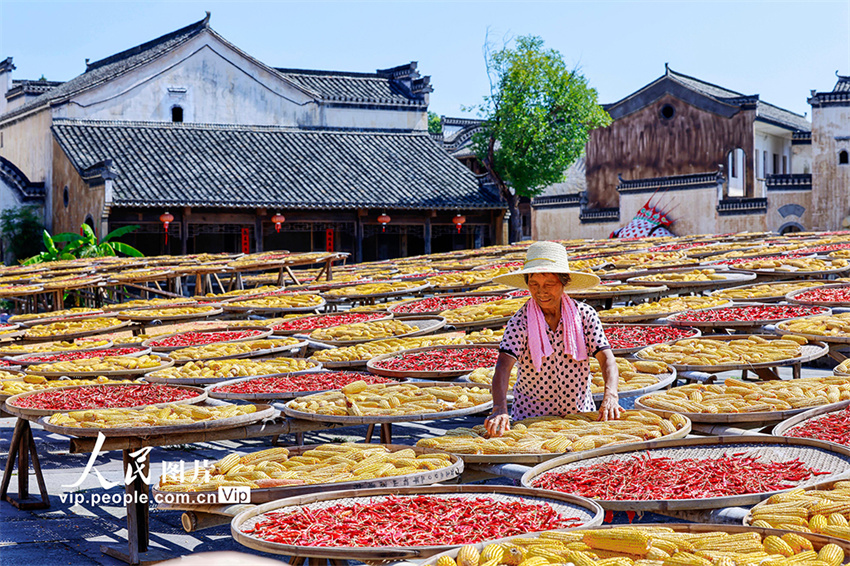 Secagem de gr?os atrai turistas para vila antiga de Anhui, leste da China