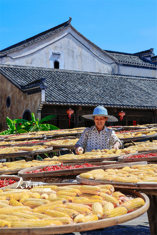 Secagem de gr?os atrai turistas para vila antiga de Anhui, leste da China