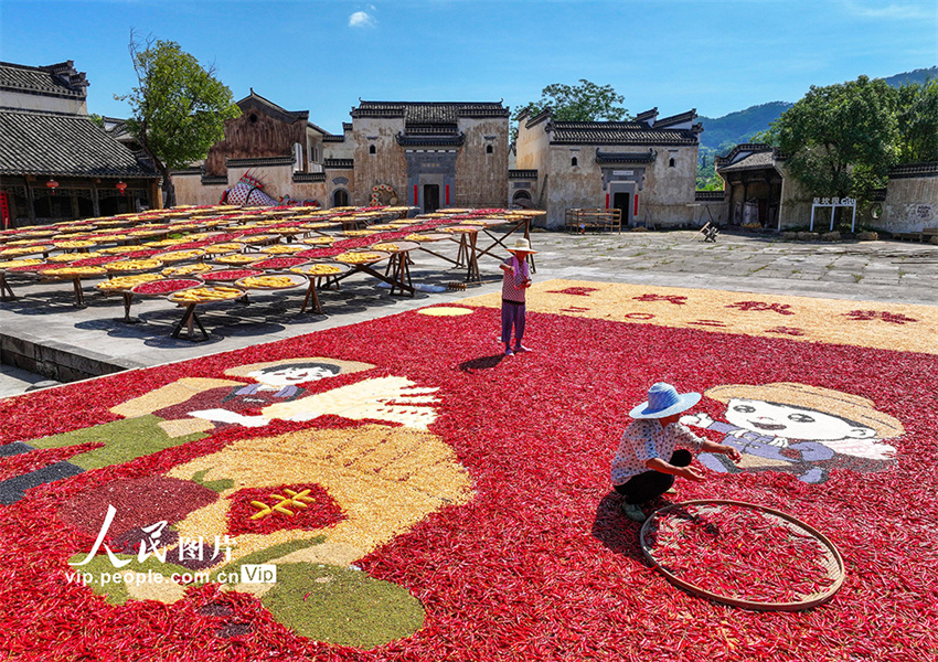 Secagem de gr?os atrai turistas para vila antiga de Anhui, leste da China