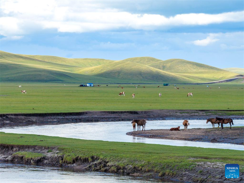 Galeria: paisagem ao longo do Rio Mergel Gol na Mongólia Interior
