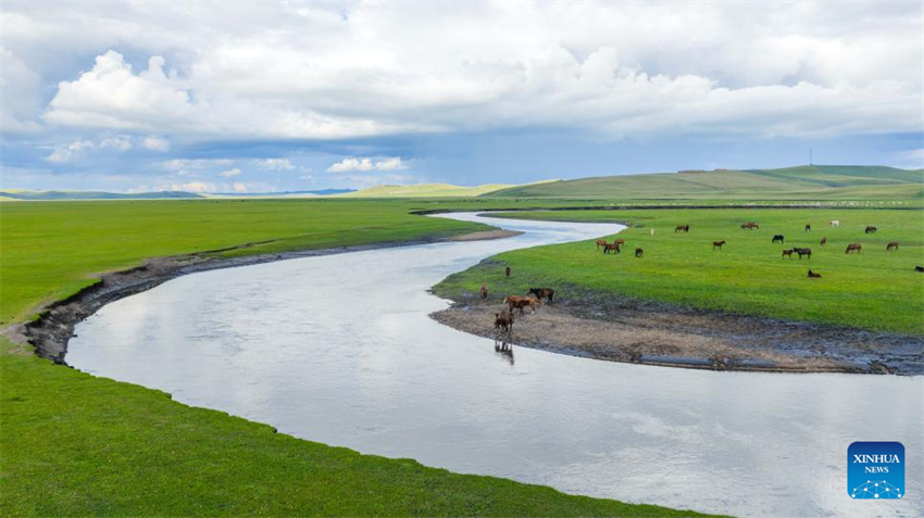 Galeria: paisagem ao longo do Rio Mergel Gol na Mongólia Interior