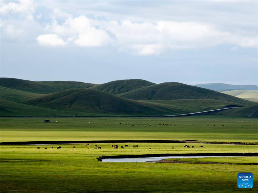 Galeria: paisagem ao longo do Rio Mergel Gol na Mongólia Interior
