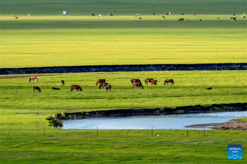 Galeria: paisagem ao longo do Rio Mergel Gol na Mongólia Interior