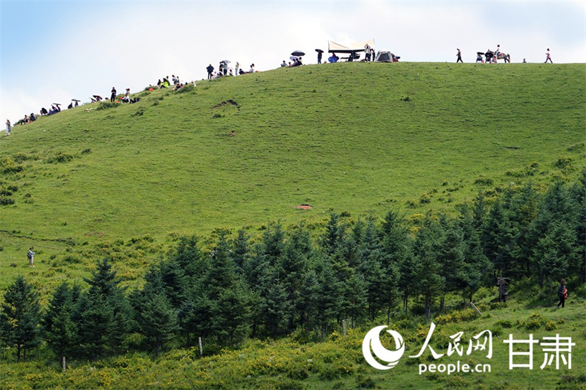 Galeria: paisagens idílicas de pastagens atraem turistas em Gansu