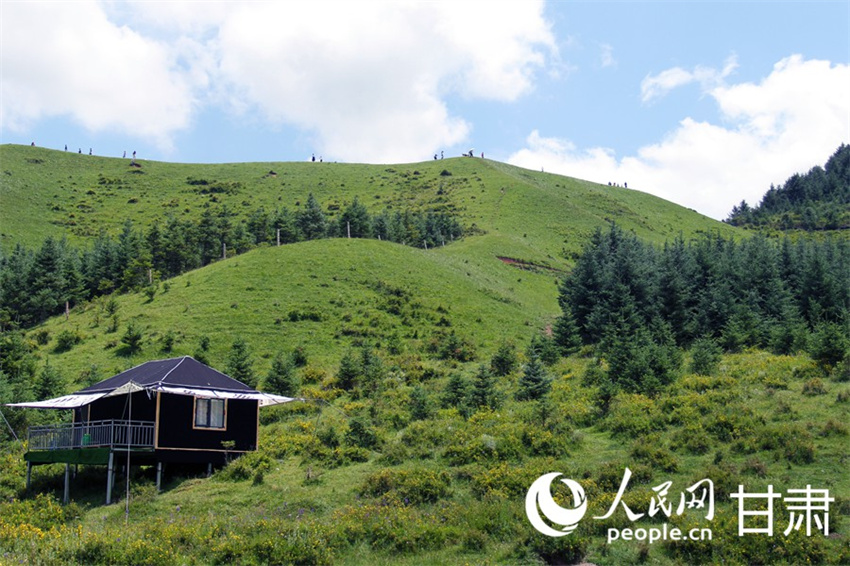 Galeria: paisagens idílicas de pastagens atraem turistas em Gansu