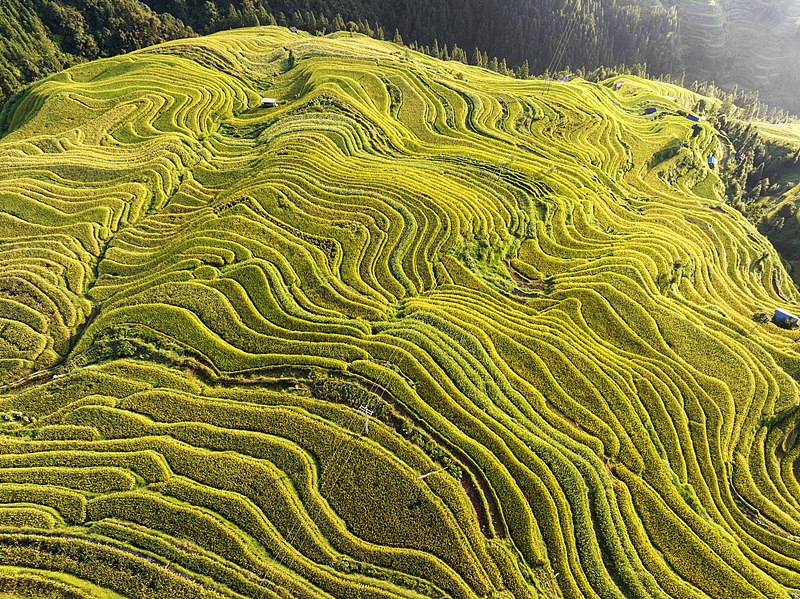Guizhou: habitantes de Congjiang implementam modelo de desenvolvimento fundindo agricultura com turismo