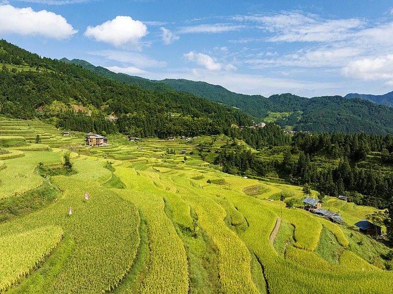 Guizhou: habitantes de Congjiang implementam modelo de desenvolvimento fundindo agricultura com turismo